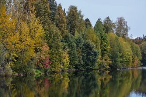 Autumn. Reflection of trees in water Stock Photos