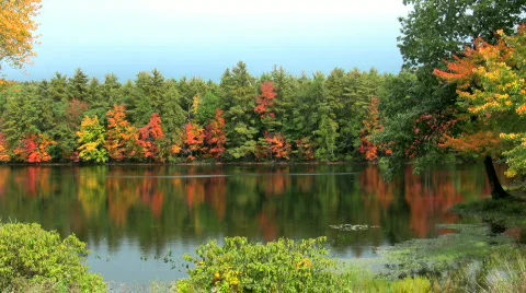 Autumn reflections Stock Footage 268126