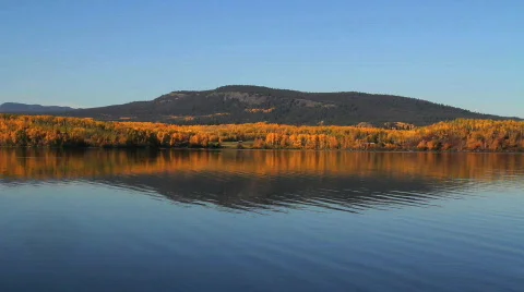 Autumn Reflections Video stock 862741