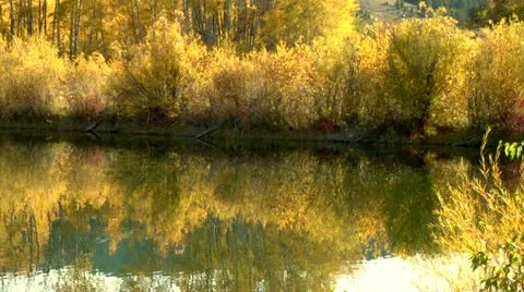 Autumn Reflections Stock Footage 10888117