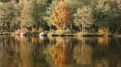Autumn Reflections Stock Footage 12262419