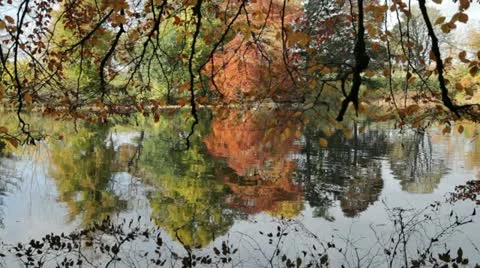 Autumn Reflections Video stock 12424603