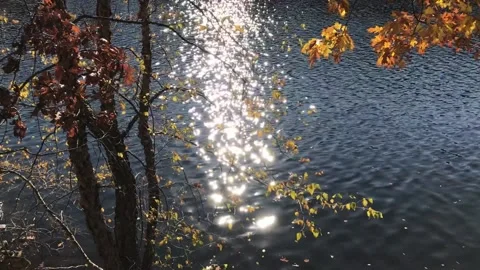 Autumn Reflections Stock Footage 165500716