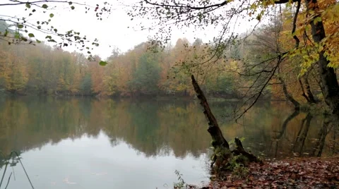 Autumn Reflections In Lake Stock Footage 43254670