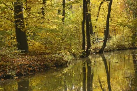 Autumn reflections Stock Photos