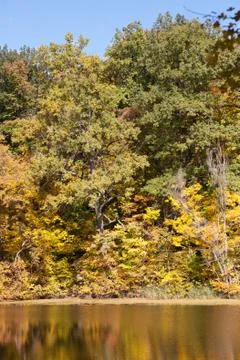 Autumn reflections Stock Photos