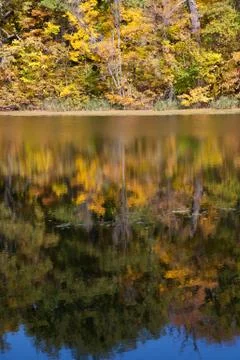 Autumn reflections Stock Photos