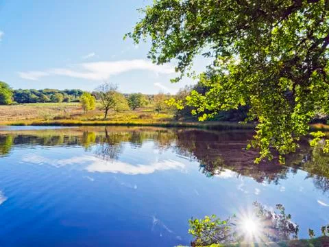 Autumn reflections 스톡 사진