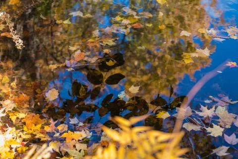 Autumn Reflections Stock Photos