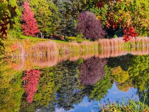 Autumn reflections Stock Photos
