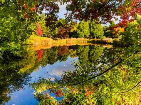 Autumn reflections Fotos Stock