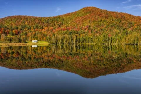 Autumn Reflections Stock Photos