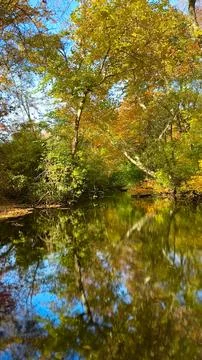 Autumn Reflections Foto stock
