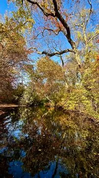 Autumn Reflections Stock Photos