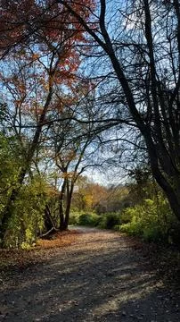 Autumn Reflections Foto stock