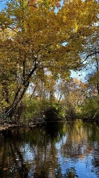Autumn Reflections Foto stock