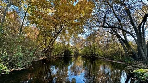 Autumn Reflections Foto stock