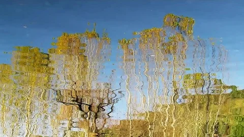 Autumn reflections of trees in the water Stock Footage 82701493