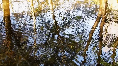 Autumn reflections in the water Stock Footage 82701480
