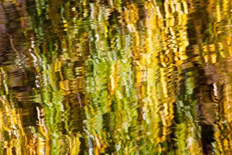 Autumn reflections of a willow tree Stock Photos
