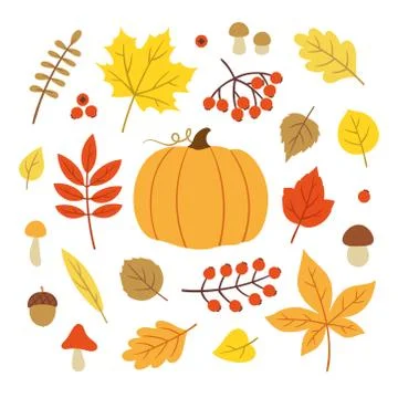 Autumn related objects Stock-Illustration