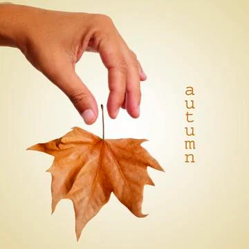 Autumn, with a retro effect Illustrazione stock