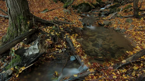 Autumn River 4k time lapse Stock Footage 33985532