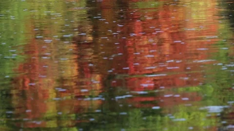 Autumn River Abstract Stock Footage 140548812