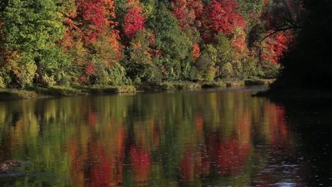 Autumn River Abstract Stock Footage 140550531