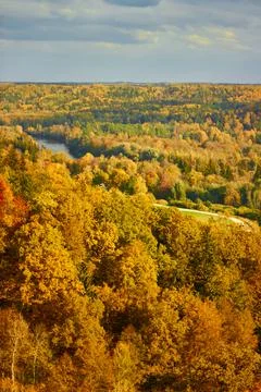 Autumn river and forest panoramic aerial view of colorful red, orange and yellow Stock Photos