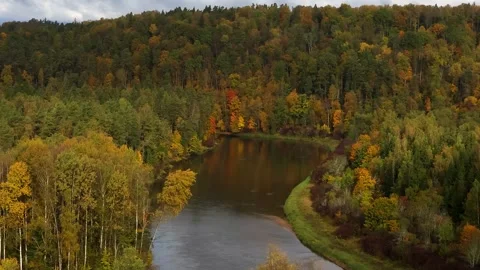 Autumn River Bend Through Colorful Forest Stock Footage 345122845