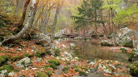 Autumn river into canyon. Stock Footage 97741518