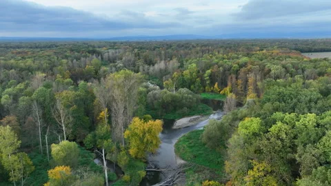 Autumn river delta floodplain fall color meander drone aerial inland video shot Stock Footage 263349298
