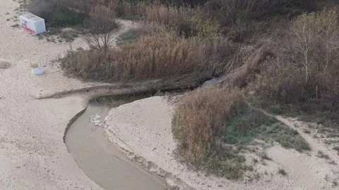 Autumn river delta flowing through reeds to sandy shore Stock Footage 321121189
