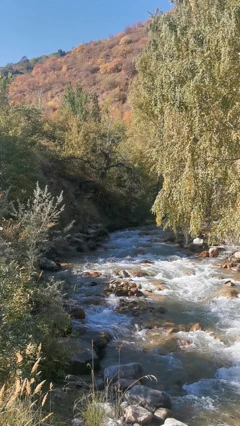 Autumn river floating in the mountains Stock Footage 162090727