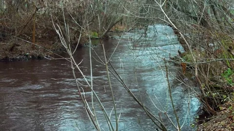 An autumn river flows between banks with bare trees and dry grass Stock Footage 324509801