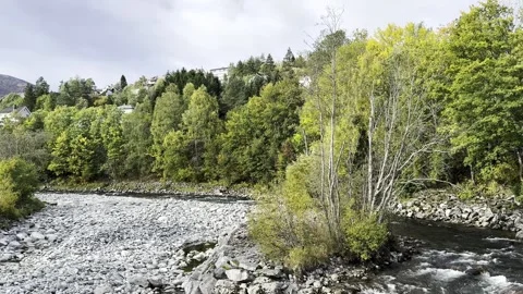 Autumn a river flows over rocks in norway Video stock 318371423