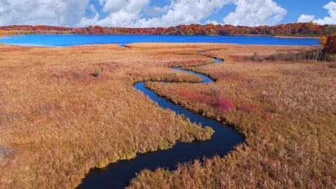 Autumn River Flyover Stock Footage 342465934