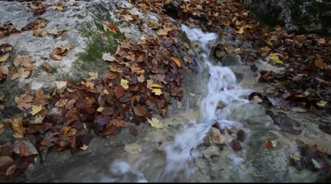 Autumn river Stock Footage 910132