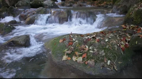 Autumn river Stock Footage 910149