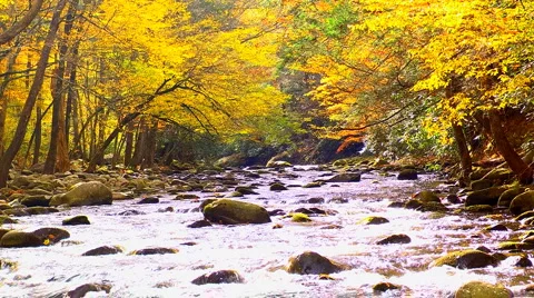 Autumn river Stock Footage 1000188