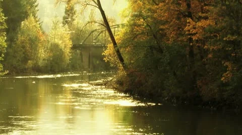 Autumn river Stock Footage 8918258