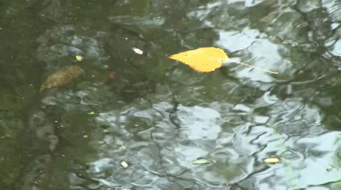 Autumn river Stock Footage 29648259