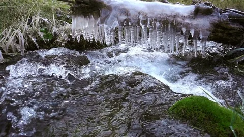 Autumn River 스톡 동영상 81179797