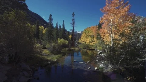 Autumn River Stock Footage 82049213