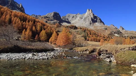 Autumn river Stock Footage 132424687