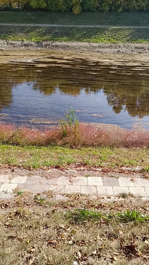 Autumn River Video stock 290110070