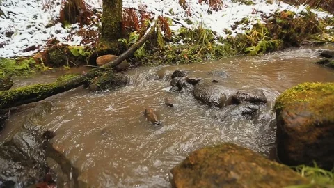 Autumn river in forest and first snow Stock Footage 82964906