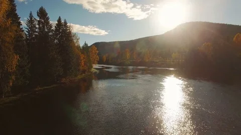 Autumn river, forest and mountain on the background in sun light. Stock Footage 81216349