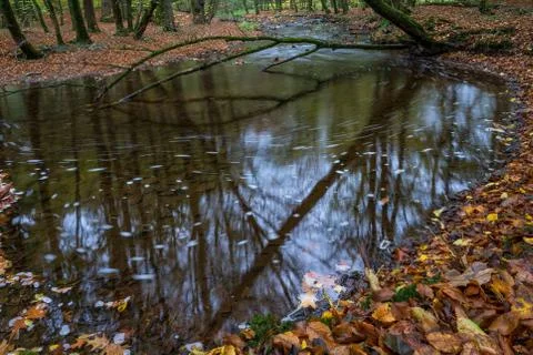 Autumn, river in the forest Stock Photos